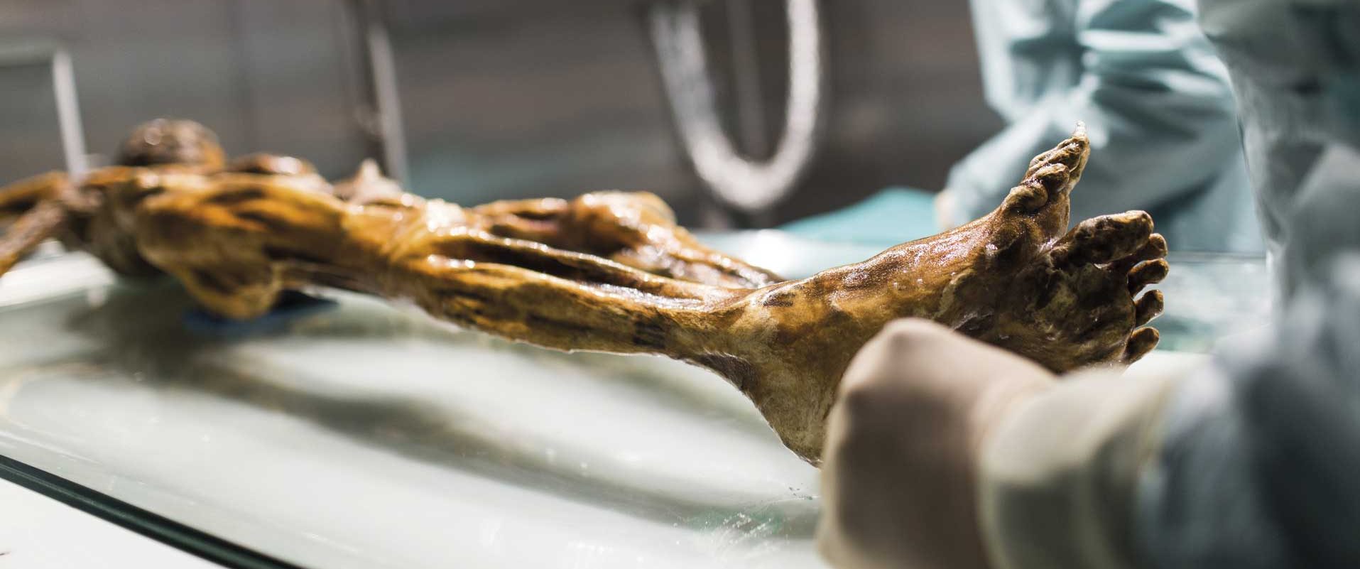 Ötzi - The mummy in the South Tyrol Museum of Archaeology