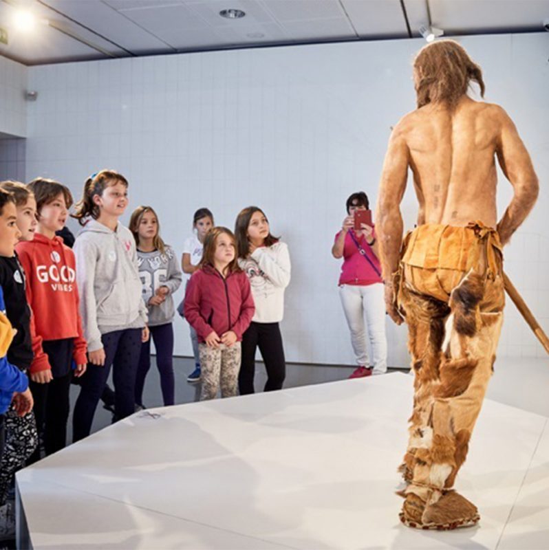 classes at the South Tyrol Museum of Archaeology