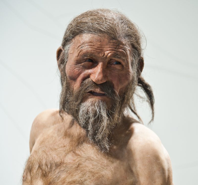 South Tyrol Museum of Archaeology / foto-dpi.com The reconstruction of Ötzi the Iceman at the South Tyrol Museum of Archaeology
